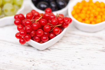 Viburnum closeup on a white table with a blurred background. Vitamins of Autumn. Place for the test, Copy space