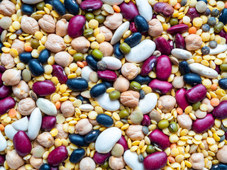 Nahaufnahme von Variation von Hülsenfrüchten