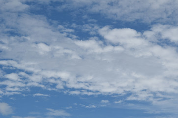 Fototapeta premium błękitne niebo z białą chmurą