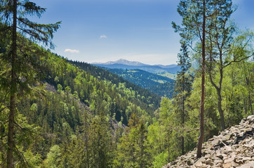 Fototapeta na wymiar Carpathian Mountains