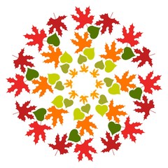 Ornament of autumn leaves in a circle. Leaves in a circle, autumn motive.
