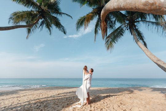 Stylish  bride and groom walking under palms on the background of the ocean and beach, wedding ceremony in Sri Lanka