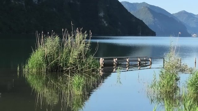 biotopo