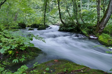 Obraz premium 《奥入瀬渓流》青森県十和田市