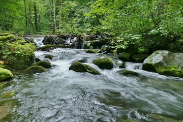 《奥入瀬渓流》青森県十和田市