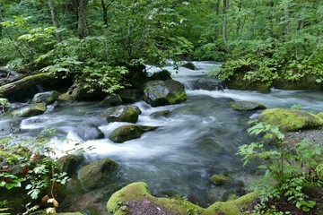 《奥入瀬渓流》青森県十和田市