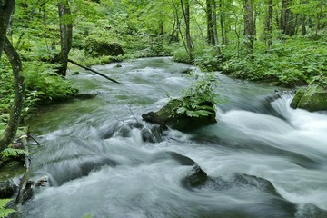 《奥入瀬渓流》青森県十和田市