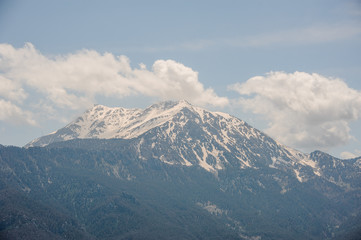 View of the mountains and forest nearby