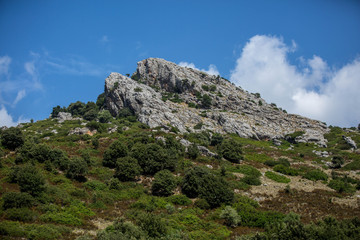 Fototapeta na wymiar Corsica