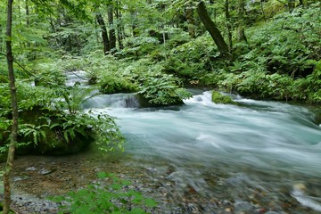 Obraz premium 《奥入瀬渓流》青森県十和田市