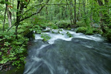 《奥入瀬渓流》青森県十和田市