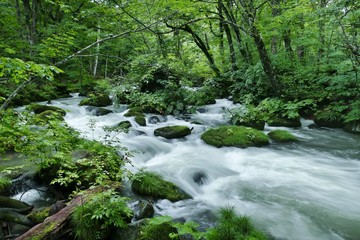《奥入瀬渓流》青森県十和田市