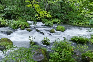 《奥入瀬渓流》青森県十和田市