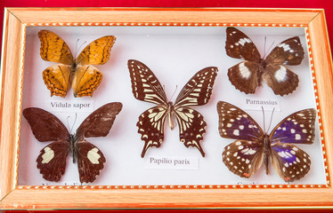 Trödel,Zeeland,Holland,Markt,Stand,Porzelan,Werkzeug,Altertümer,Blumen,Uhren,Uhrwerke,Handarbeit,Marmelade,Tierfelle,Ente,Kücken,Postkarte,Cloun,Puppe,Tafel,Kreide,Zierijzee,Renesse,Schlüssel,Verroste