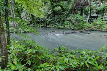 《奥入瀬渓流》青森県十和田市