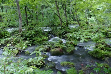 《奥入瀬渓流》青森県十和田市