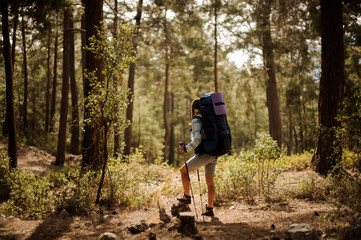 Female hiker travels with sticks through forest