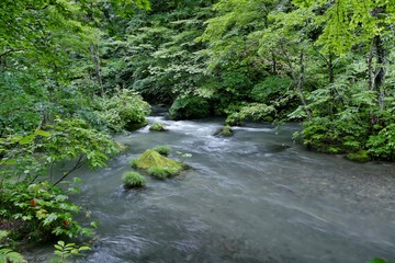 《奥入瀬渓流》青森県十和田市