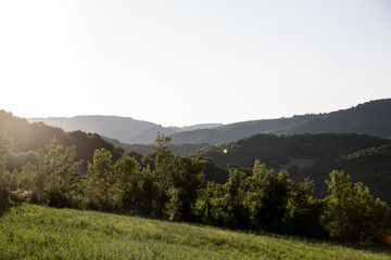 Aveyron