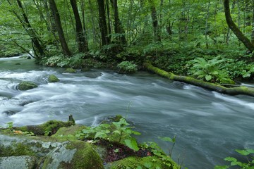 《奥入瀬渓流》青森県十和田市