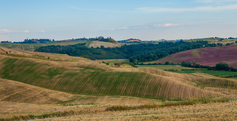 Fototapeta na wymiar Landscape of the Italian countryside in summer