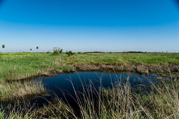 Landscape in the interior of Ivinhema River Floods State Park.