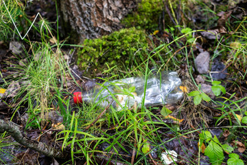  The forest polluted with rubbish - empty plastic bottle waste in the nature.