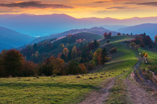 mountain countryside at dusk. beautiful autumn scenery. trees along the path through hilly rural area. carpathian borzhava ridge beneath a glowing golden sky with clouds in the distance