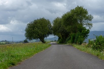 camino