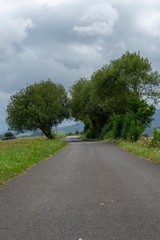 camino