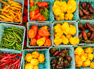 Close up of colorful  vegetables at Satutday market  in Union Square, New York.