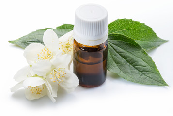 Tender jasmine flowers and jasmine oil close-up on white background.