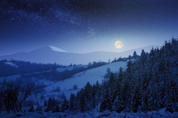 wonderful winter night scenery in mountains.  snow covered forested hills. full moon on a starry...