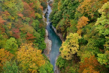 《小安峡の紅葉》秋田県湯沢市