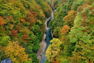 《小安峡の紅葉》秋田県湯沢市