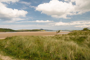Obraz premium Spiaggia irlandese in estate - Ards Forest Park, County Donegal