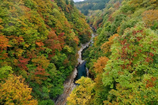 《小安峡の紅葉》秋田県湯沢市