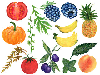 Watercolor hand paint set eco food organic helthy cafe menu design. natural fresh fruits and vegetable illustration