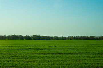 Wide field and the sky nature landscape background