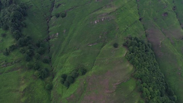 Puerto de los Tornos, Cantabria, Spain, Europe