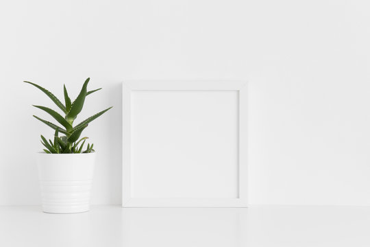 White square frame mockup with a aloe vera in a pot on a white table.