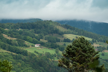 view of Landscape with Mountains and Forest