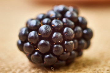 Closeup shot of fresh ripe blackberry