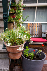 Fototapeta na wymiar Pretty potted plants on front porch