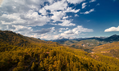 Beautiful landscape with trees and clouds in mountains