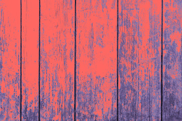 Alte Vintage Holz Hintergrund, Bretter in Pastell-Rot, Pantone Coral, Blau und vertikalen Brettern als Detail.