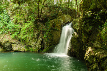 Obraz premium waterfall in forest - Shizuoka, Japan