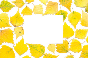 Creative layout of yellow autumn leaves with space for text on white paper. Mockup. View from above. - Image