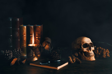 still life vintage of human skull with books, dried flowers, pine  nut, lamp, note book and pen on...