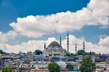 Fototapeta premium Istanbul city skyline with Suleymaniye Mosque in Turkey